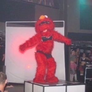 Meet your Posher, Lily